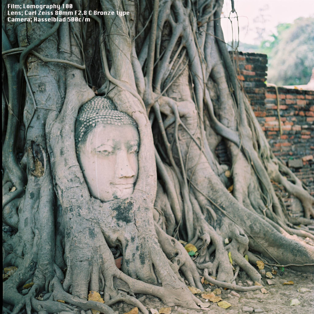 Wat Mahathard Ayutthaya